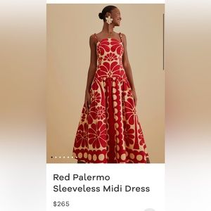 Red Farm Rio Palermo Dress Size Large NWOT